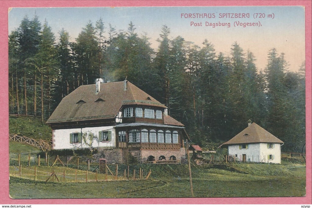 maison_forestiere_spitzberg_vosges_alsace maison du spitzberg au grès des vosges